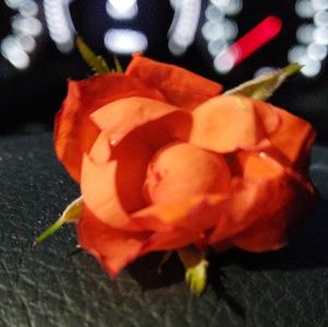 Meet your Posher, Jane